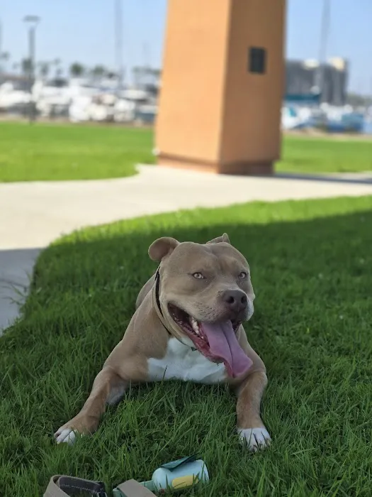 Scripps Ranch Veterinary Hospital 8