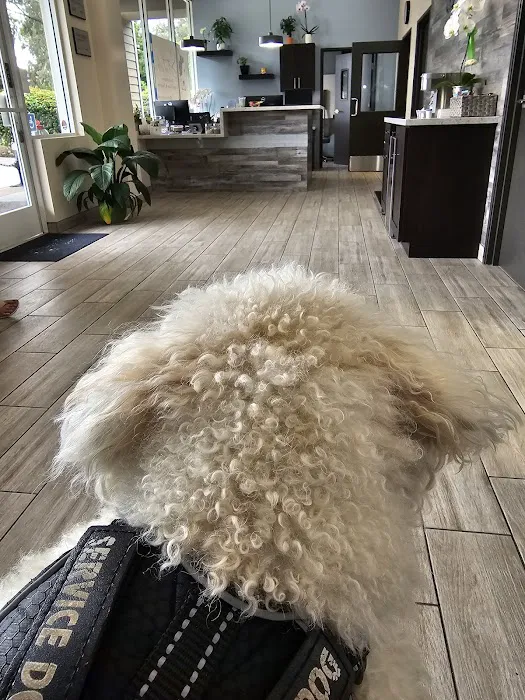 Stitch Veterinary Urgent Care and Surgery 1