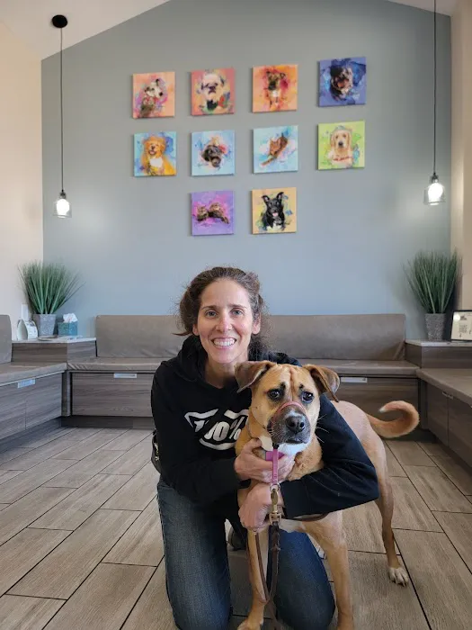 Stitch Veterinary Urgent Care and Surgery 4
