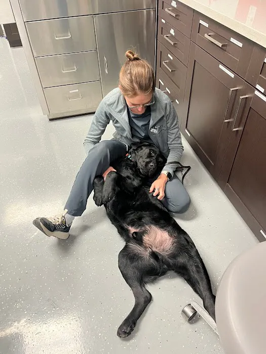 Stitch Veterinary Urgent Care and Surgery 8