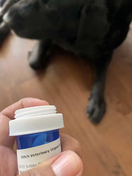 Stitch Veterinary Urgent Care and Surgery 7