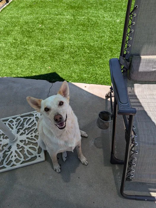 Clairemont Village Pet Clinic 3