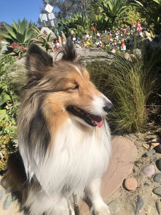 Clairemont Village Pet Clinic 9