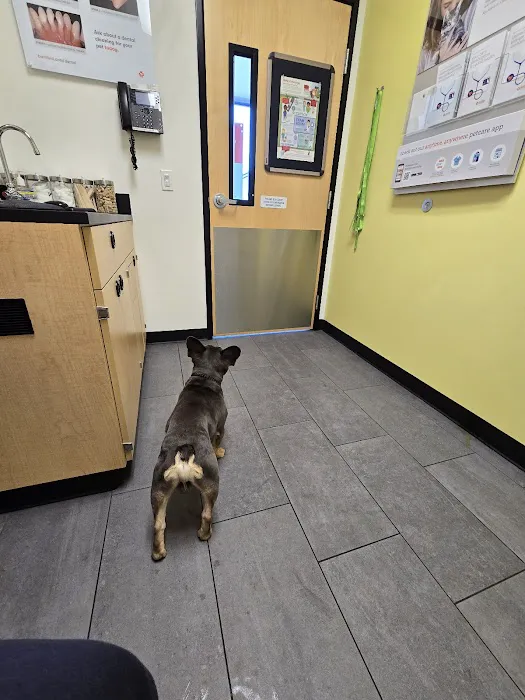 Banfield Pet Hospital 4