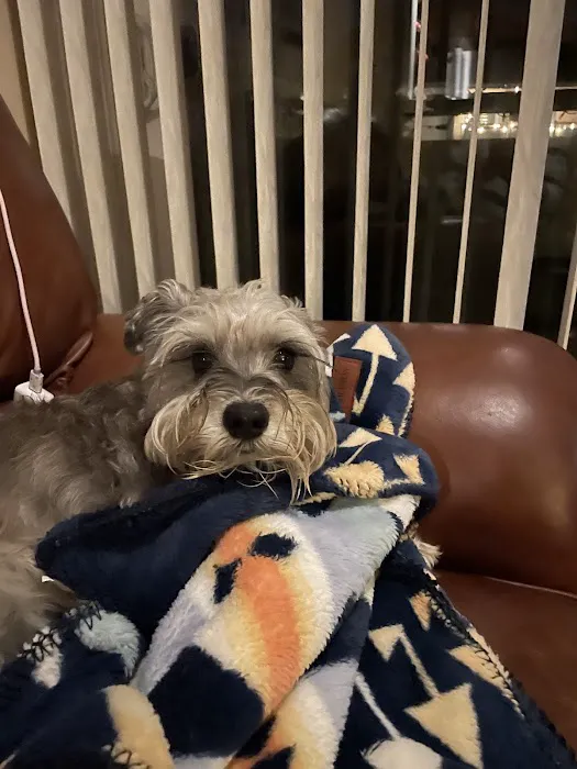 Banfield Pet Hospital 6