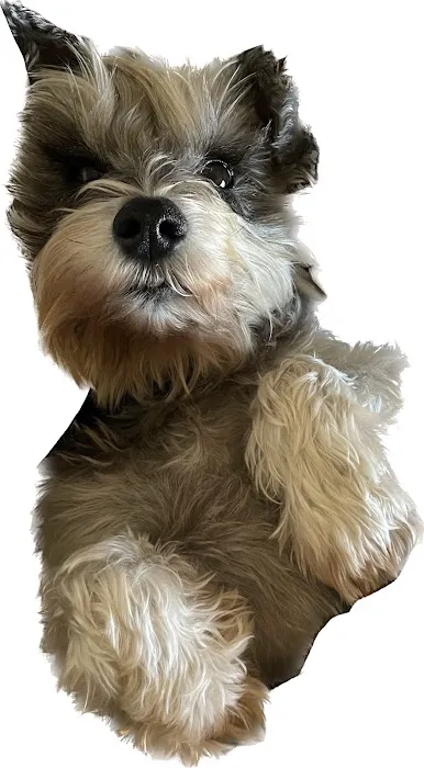 Banfield Pet Hospital 7