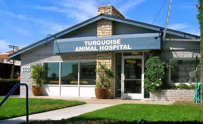 Turquoise Animal Hospital 3