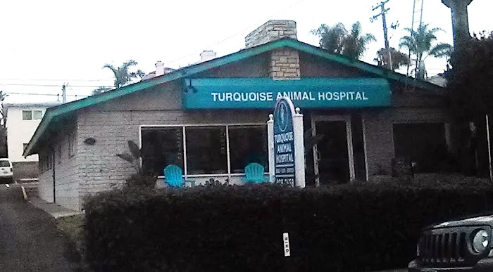 Turquoise Animal Hospital 5