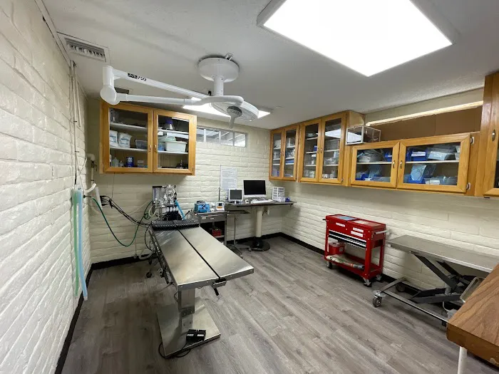 Grand Animal Hospital 10
