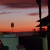Scoggin Kevin DVM ico