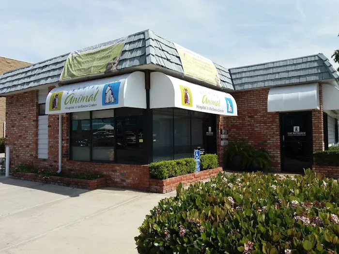 Cardiff Animal Hospital & Wellness Center 1