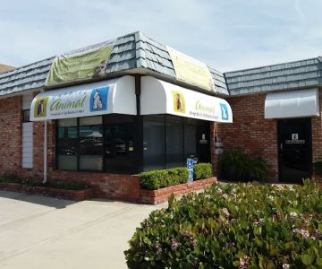 Cardiff Animal Hospital & Wellness Center