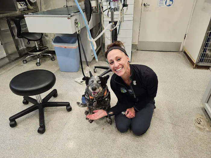 Cardiff Animal Hospital & Wellness Center 6