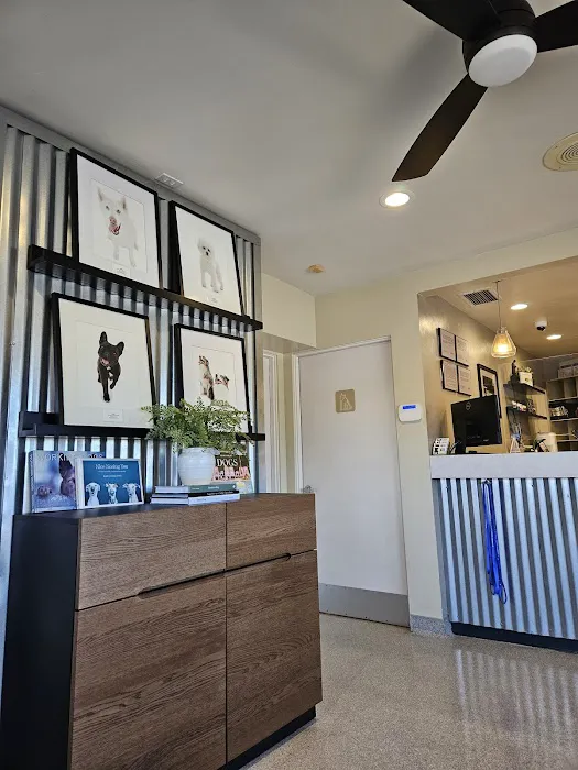 Cardiff Animal Hospital & Wellness Center 4