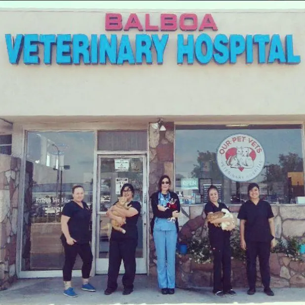 Balboa Veterinary Hospital 3