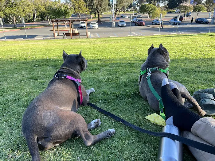 Balboa Veterinary Hospital 4