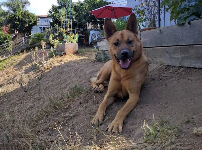Balboa Veterinary Hospital 5
