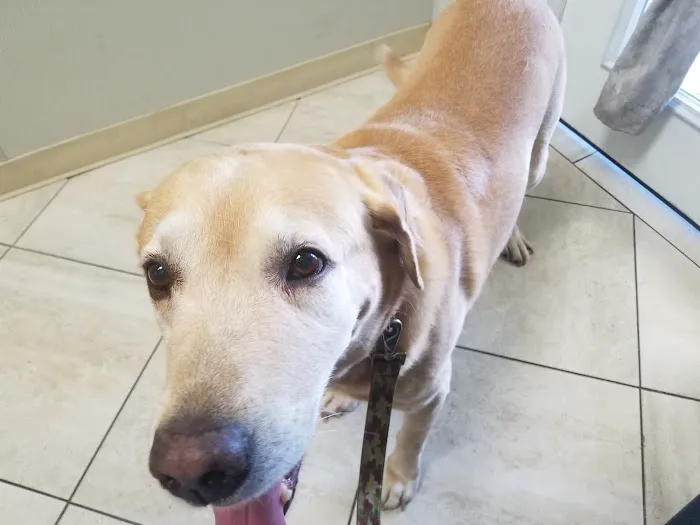 Balboa Veterinary Hospital 6