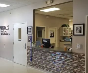 VCA Eye Clinic for Animals