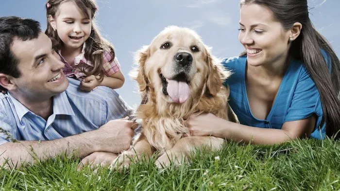 Animal Medical Clinic of St. Charles 12