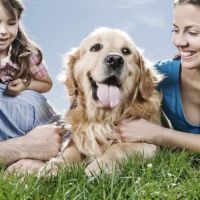 Animal Medical Clinic of St. Charles ico