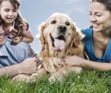 Animal Medical Clinic of St. Charles