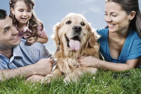 Animal Medical Clinic of St. Charles