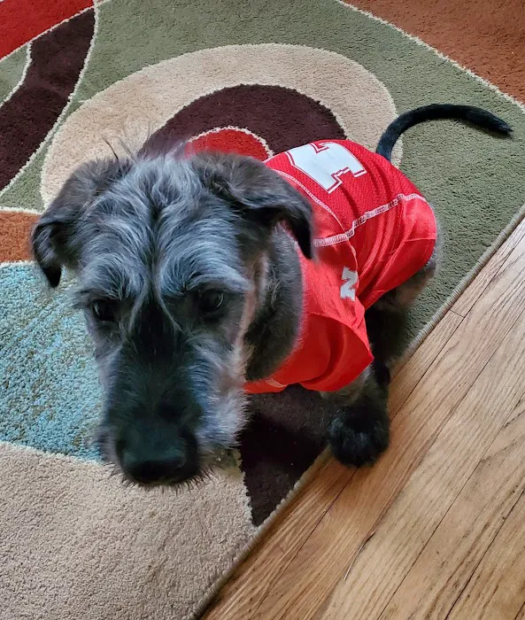 The Welcome Waggin' In-Home Veterinary Care 12