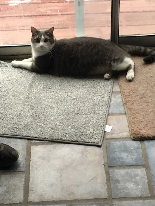 The Welcome Waggin' In-Home Veterinary Care 12