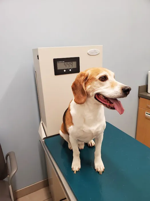 Lockport Animal Hospital 7