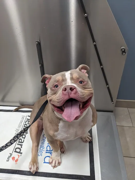 Lockport Animal Hospital 10