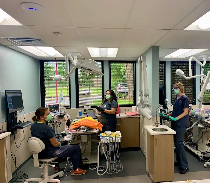 Veterinary Dental Center: S Juriga, DVM, DAVDC; L Sasser, DVM, DAVDC; K Kling, DVM, DAVDC; G Rutkauskas, DVM; MJ Hassan DVM 12