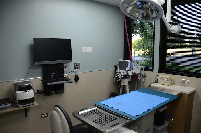 Veterinary Dental Center: S Juriga, DVM, DAVDC; L Sasser, DVM, DAVDC; K Kling, DVM, DAVDC; G Rutkauskas, DVM; MJ Hassan DVM 12