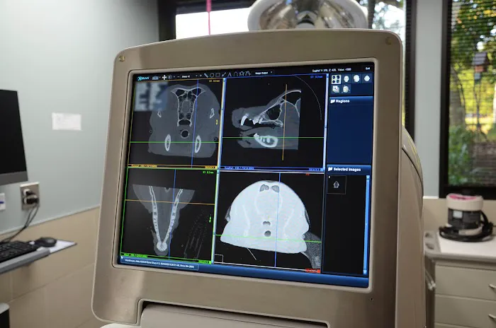 Veterinary Dental Center: S Juriga, DVM, DAVDC; L Sasser, DVM, DAVDC; K Kling, DVM, DAVDC; G Rutkauskas, DVM; MJ Hassan DVM 12