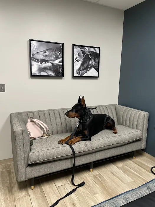 Veterinary Dental Center: S Juriga, DVM, DAVDC; L Sasser, DVM, DAVDC; K Kling, DVM, DAVDC; G Rutkauskas, DVM; MJ Hassan DVM 12