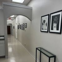 Fox Valley Animal Welfare League ico