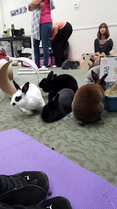 Fox Valley Animal Welfare League 2