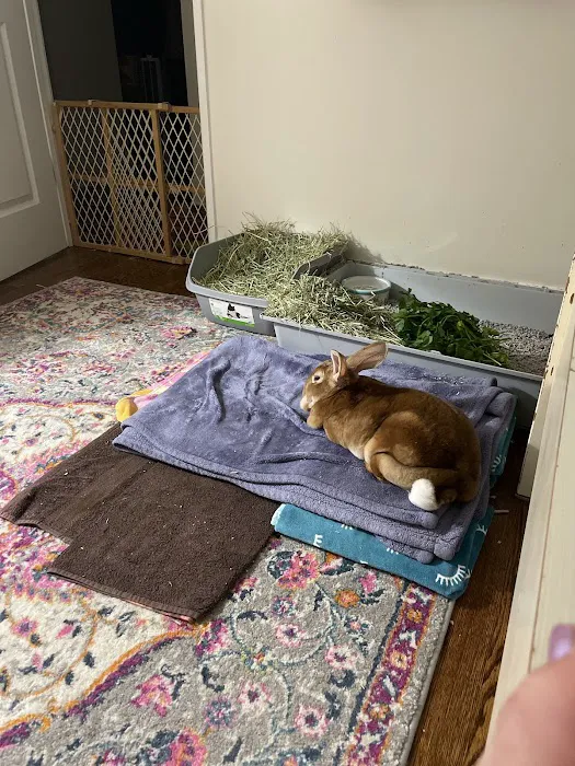 Fox Valley Animal Welfare League 6