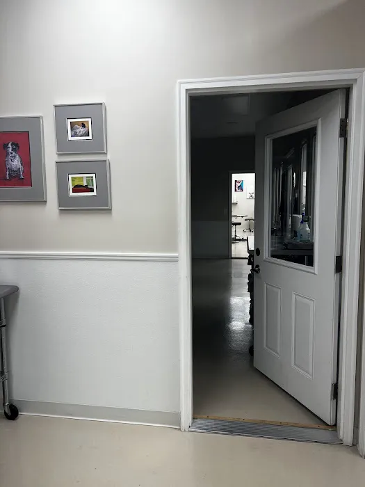 Fox Valley Animal Welfare League 10