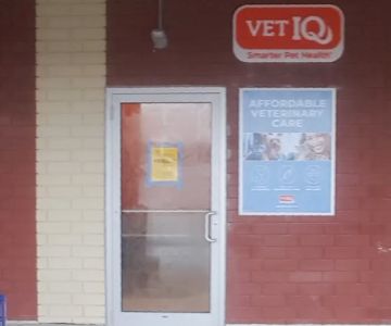 VetIQ Petcare