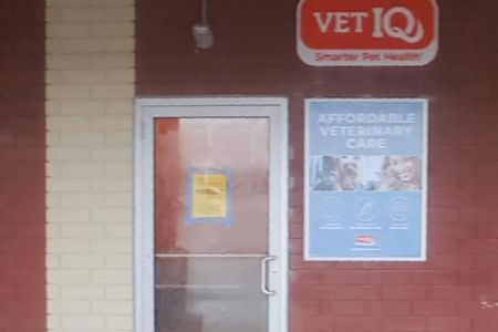 VetIQ Petcare