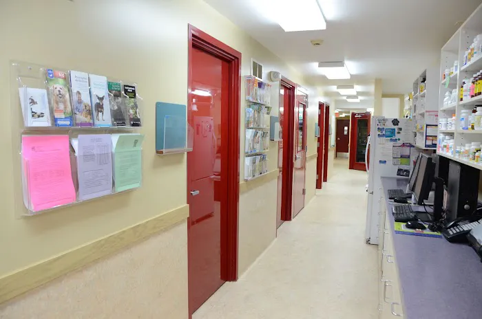 River Heights Veterinary Hospital, A Thrive Pet Healthcare Partner 1