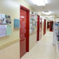 River Heights Veterinary Hospital, A Thrive Pet Healthcare Partner ico