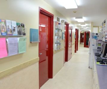 River Heights Veterinary Hospital, A Thrive Pet Healthcare Partner