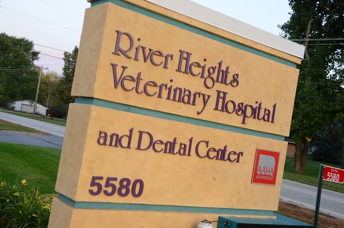 River Heights Veterinary Hospital, A Thrive Pet Healthcare Partner 9