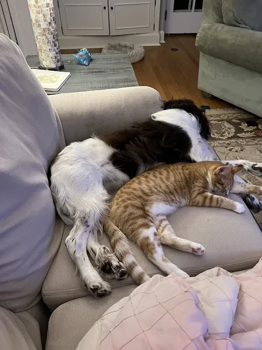 Orchard Road Animal Hospital 12