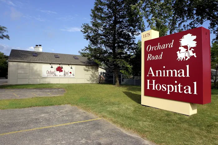 Orchard Road Animal Hospital 12