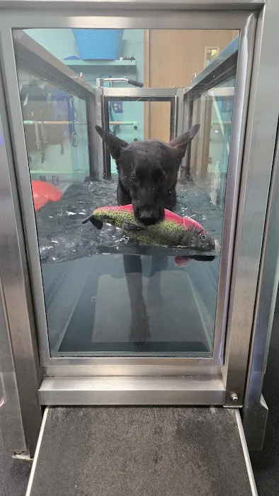 Canine Physical Rehab & Recreation 12