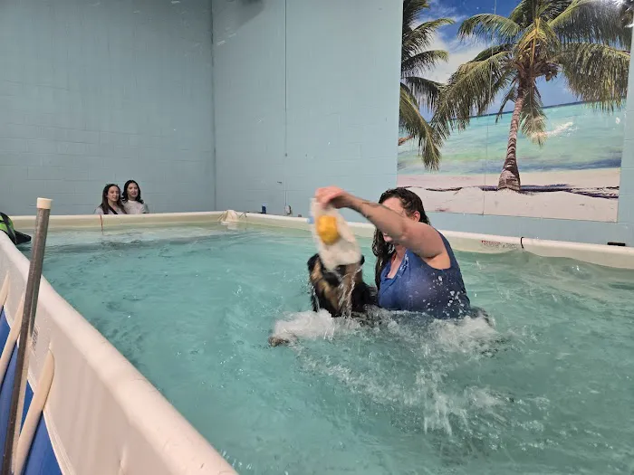 Canine Physical Rehab & Recreation 12