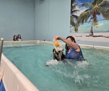 Canine Physical Rehab & Recreation